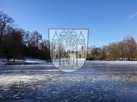 Schönbuschsee gefroren im Februar 2021